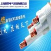 礦物絕緣柔性防火電纜 RWTZ YTTW BTTRZ