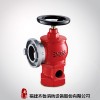 福建齊魯消防直銷(xiāo)SNZ65室內(nèi)消火栓