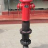 供應重慶地上式消防水泵接合器