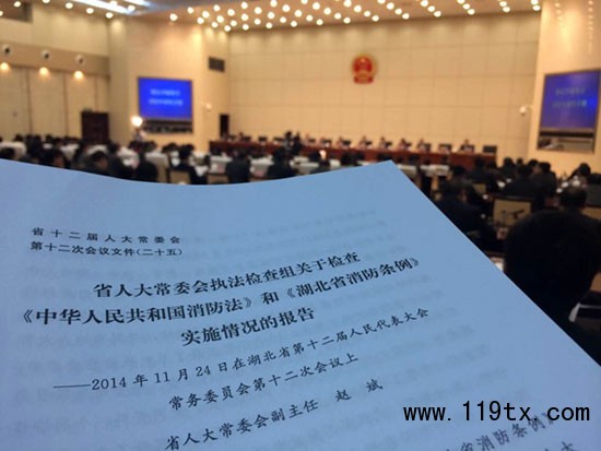 湖北省人大常委會審議消防“一法一條例”實施情況