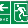 夜光PVC緊急出口標牌，經(jīng)濟型夜光安全出口標牌，逃生通道標志