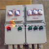 BXM防爆照明配電箱，防爆配電箱IIC級，IP65防爆配電箱