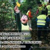 重慶森林教育優勢 重慶森林教育優勢解析 新啟點供